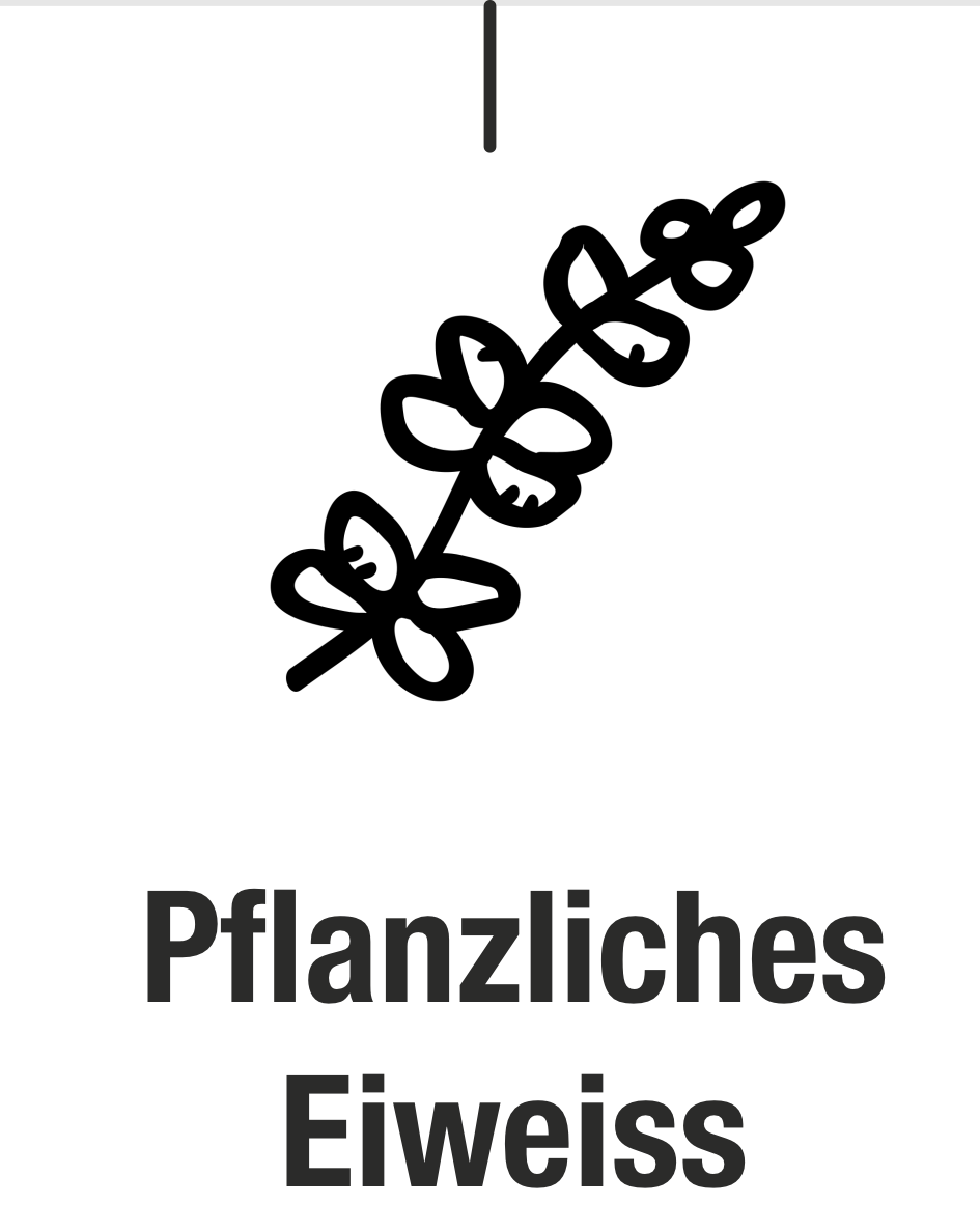 Pflanzliches Eiweiss