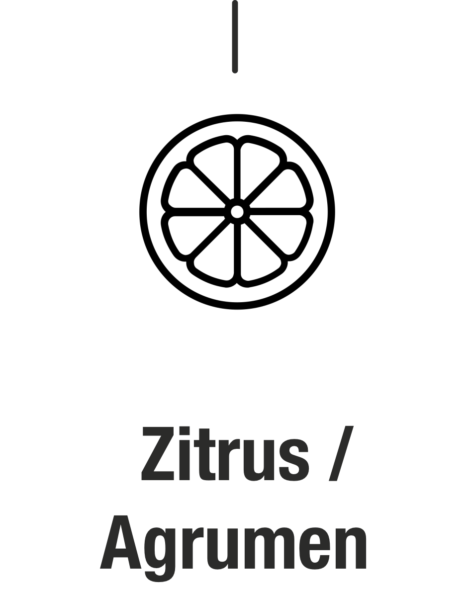 Zitrus, Agrumen