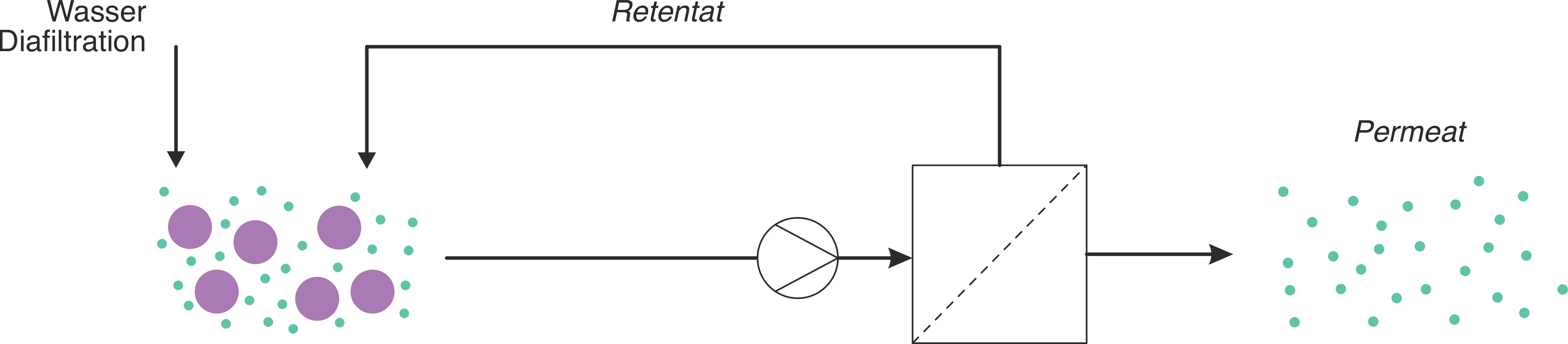 Schema Diafiltration